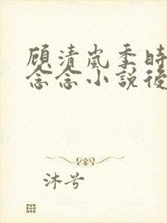 顾清岚季时宴苏念念小说后续