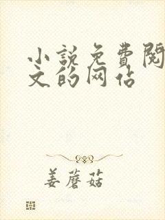 小说免费阅读全文的网站 小说免费阅读全文的网站