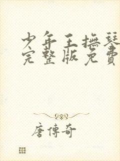 少年王抚琴的人完整版免费阅读全文