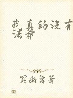 我真的没有针对法爷