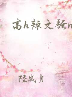 高h辣文骚np