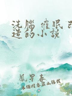 洗脑 催眠 改造的小说