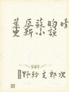 叶辰苏昀晴最新更新小说