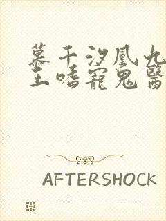 慕千汐凰九夜邪王嗜宠鬼医狂妃