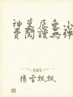 神墓辰东小说免费阅读无弹窗