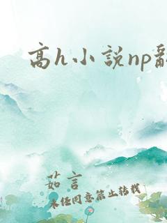 高h小说np乱