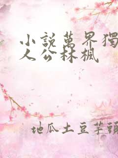小说万界独尊主人公林枫 小说万界独尊主人公林枫