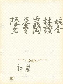 陆辰霆林婉小说免费阅读全文