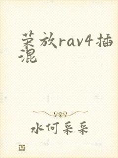 荣放rav4插混