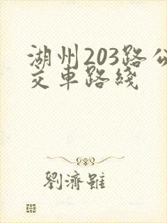 湖州203路公交车路线