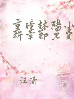 重瞳林阳小说最新章节免费阅读