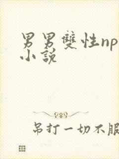 男男双性nph小说