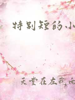特别短的小说