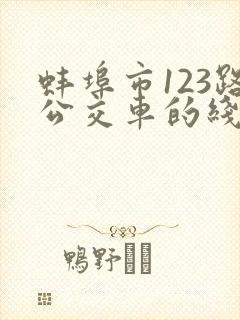 蚌埠市123路公交车的线路 蚌埠市123路公交车的线路