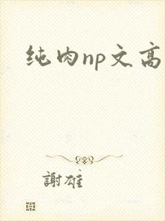 纯肉np文高h