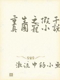 重生之假千金是真团宠小说