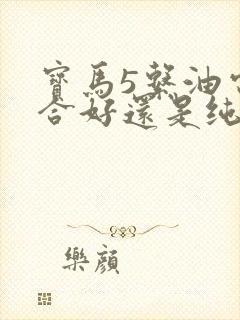 宝马5系油电混合好还是纯油好