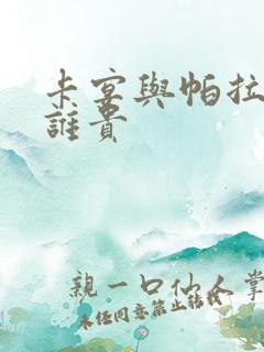卡宴与帕拉梅拉谁贵