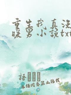 重生我真没想当暖男小说txt