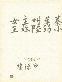 女主叫叶蓁蓁男主姓陆的小说