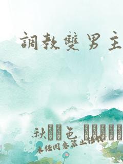 调教双男主