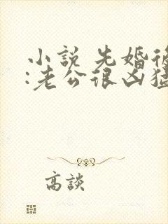 小说 先婚后爱:老公很凶猛 小说 先婚后爱:老公很凶猛