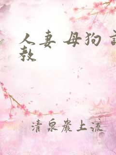 人妻 母狗 调教