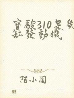 宝骏310是几缸发动机 宝骏310是几缸发动机