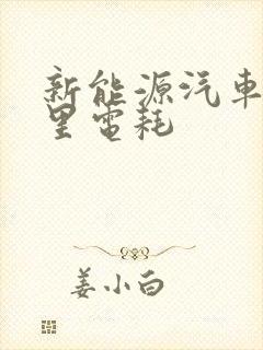 新能源汽车百公里电耗