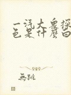 一汽大众探岳白色是什么白