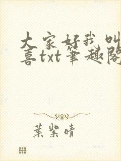 大家好我叫林小喜txt笔趣阁