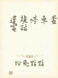 违规停车查车主电话