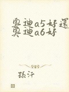 奥迪a5好还是奥迪a6好