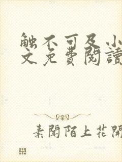 触不可及小说全文免费阅读 触不可及小说全文免费阅读