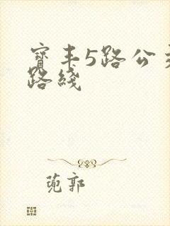 宝丰5路公交车路线