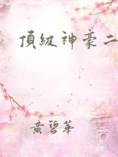 顶级神豪二部