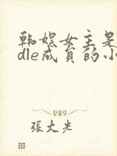 韩娱女主是gidle成员的小说