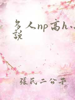 多人np高h小说