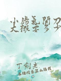 小肠气开刀费用大概要多少钱