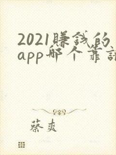 2021赚钱的app哪个靠谱赚钱还快