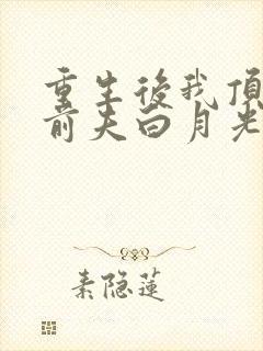 重生后我顶替了前夫白月光纪琛