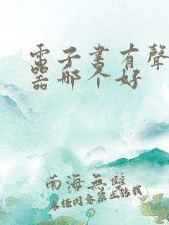 电子书有声阅读器哪个好