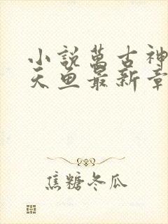 小说万古神帝飞天鱼最新章节列表免费