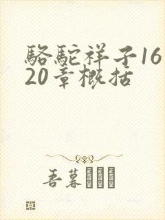 骆驼祥子16到20章概括 骆驼祥子16到20章概括
