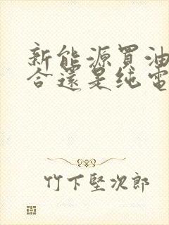 新能源买油电混合还是纯电的