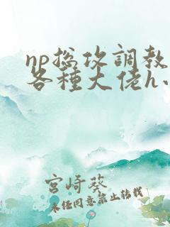 np总攻调教j各种大佬h小说