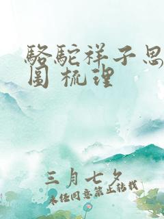 骆驼祥子思维导图 梳理
