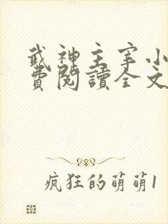 武神主宰小说免费阅读全文无删减
