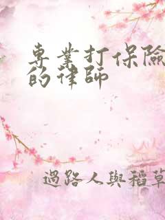 专业打保险理赔的律师
