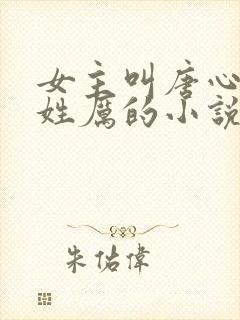 女主叫唐心男主姓厉的小说